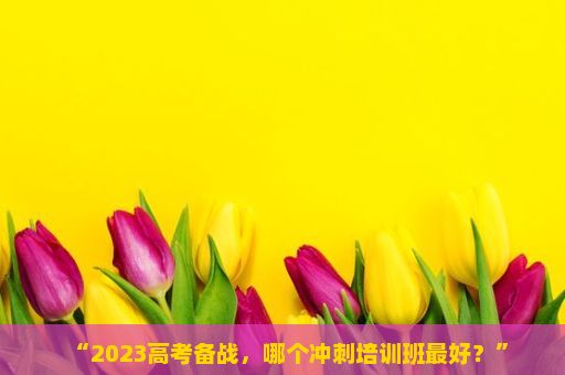 “2023高考备战，哪个冲刺培训班最好？”