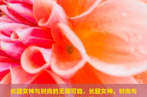 长腿女神与时尚的无限可能，长腿女神，时尚与优雅的完美诠释