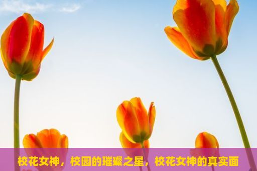 校花女神，校园的璀璨之星，校花女神的真实面貌是否只是表面光鲜？