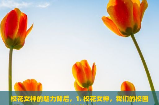 校花女神的魅力背后，1. 校花女神，我们的校园中的神秘存在