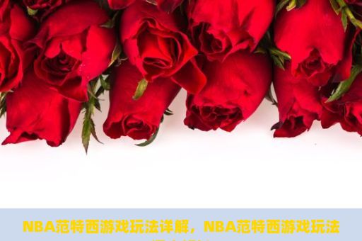 NBA范特西游戏玩法详解，NBA范特西游戏玩法深度解析