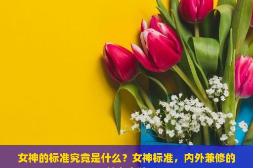 女神的标准究竟是什么？女神标准，内外兼修的魅力之谜