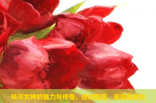 校花女神的魅力与传奇，在校园里，谁是最美的女神？