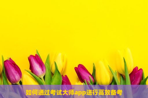 如何通过考试大师app进行高效备考