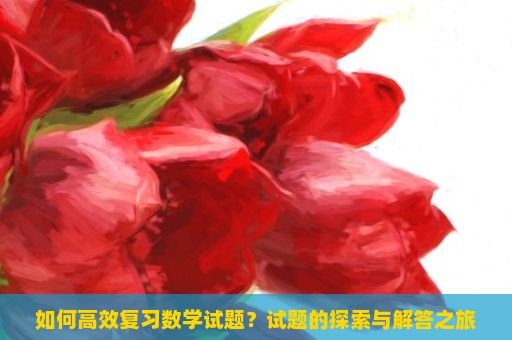 如何高效复习数学试题？试题的探索与解答之旅