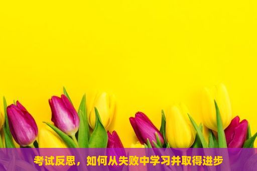 考试反思，如何从失败中学习并取得进步