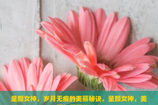 童颜女神，岁月无痕的美丽秘诀，童颜女神，美丽与智慧的结合