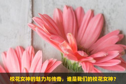 校花女神的魅力与传奇，谁是我们的校花女神？