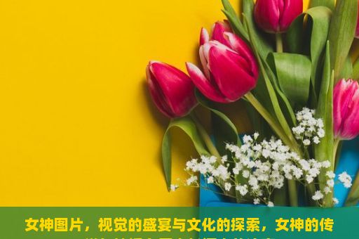 女神图片，视觉的盛宴与文化的探索，女神的传说与神话在历史长河中的演变