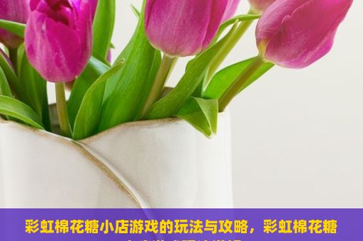 彩虹棉花糖小店游戏的玩法与攻略，彩虹棉花糖小店游戏玩法详解