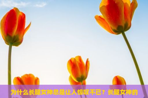 为什么长腿女神总是让人惊叹不已？长腿女神的魅力与故事