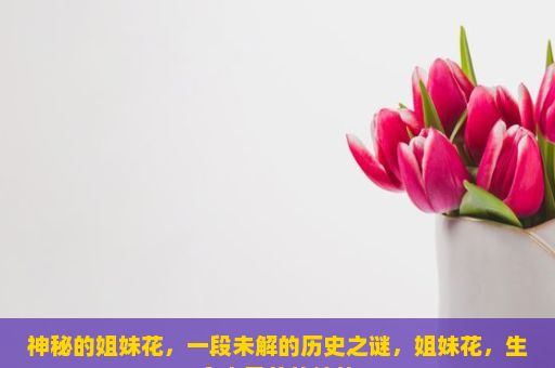 神秘的姐妹花，一段未解的历史之谜，姐妹花，生命中最美的绽放