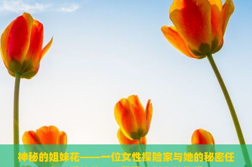 神秘的姐妹花——一位女性探险家与她的秘密任务，姐妹花，一段无法割舍的情缘