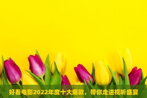 好看电影2022年度十大爆款，带你走进视听盛宴的世界