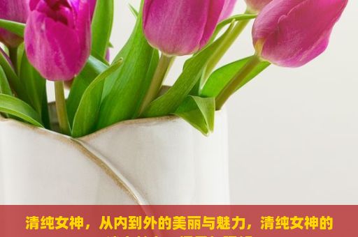 清纯女神，从内到外的美丽与魅力，清纯女神的迷人魅力，探寻与理解