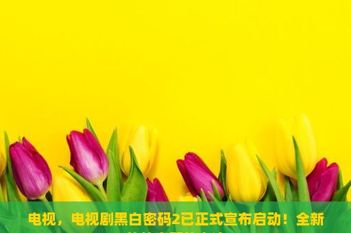 电视，电视剧黑白密码2已正式宣布启动！全新的故事即将上演