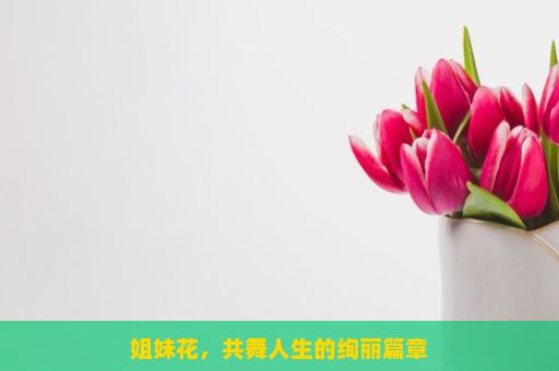 姐妹花，共舞人生的绚丽篇章