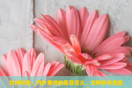 女神标准，内外兼修的美丽定义，女神的标准是什么？文章内容如下