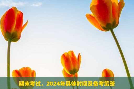 期末考试，2024年具体时间及备考策略