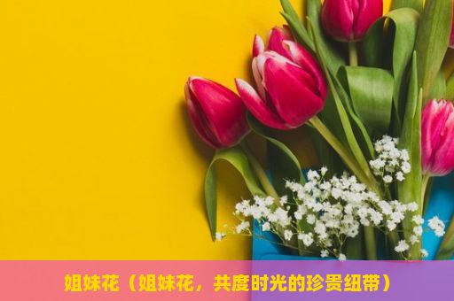 姐妹花（姐妹花，共度时光的珍贵纽带）