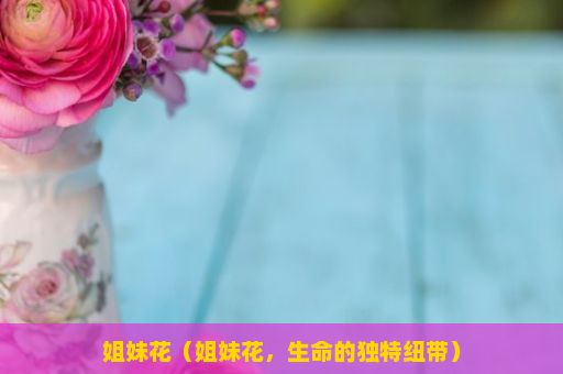 姐妹花（姐妹花，生命的独特纽带）