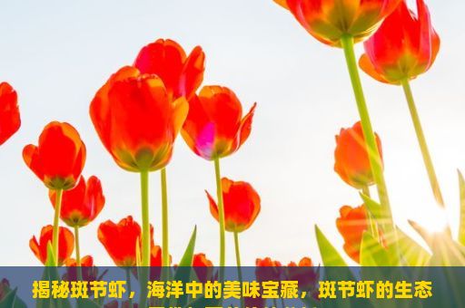 揭秘斑节虾，海洋中的美味宝藏，斑节虾的生态习性与营养价值分析