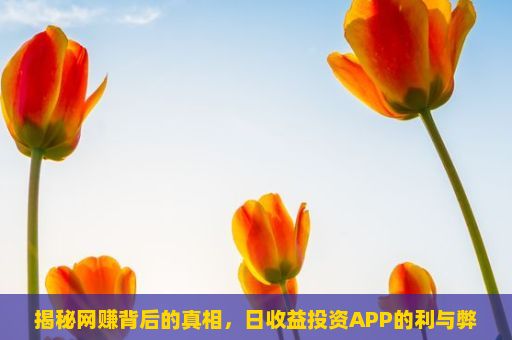 揭秘网赚背后的真相，日收益投资APP的利与弊