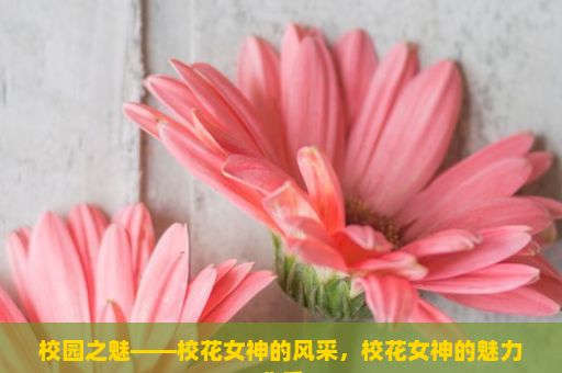 校园之魅——校花女神的风采，校花女神的魅力背后